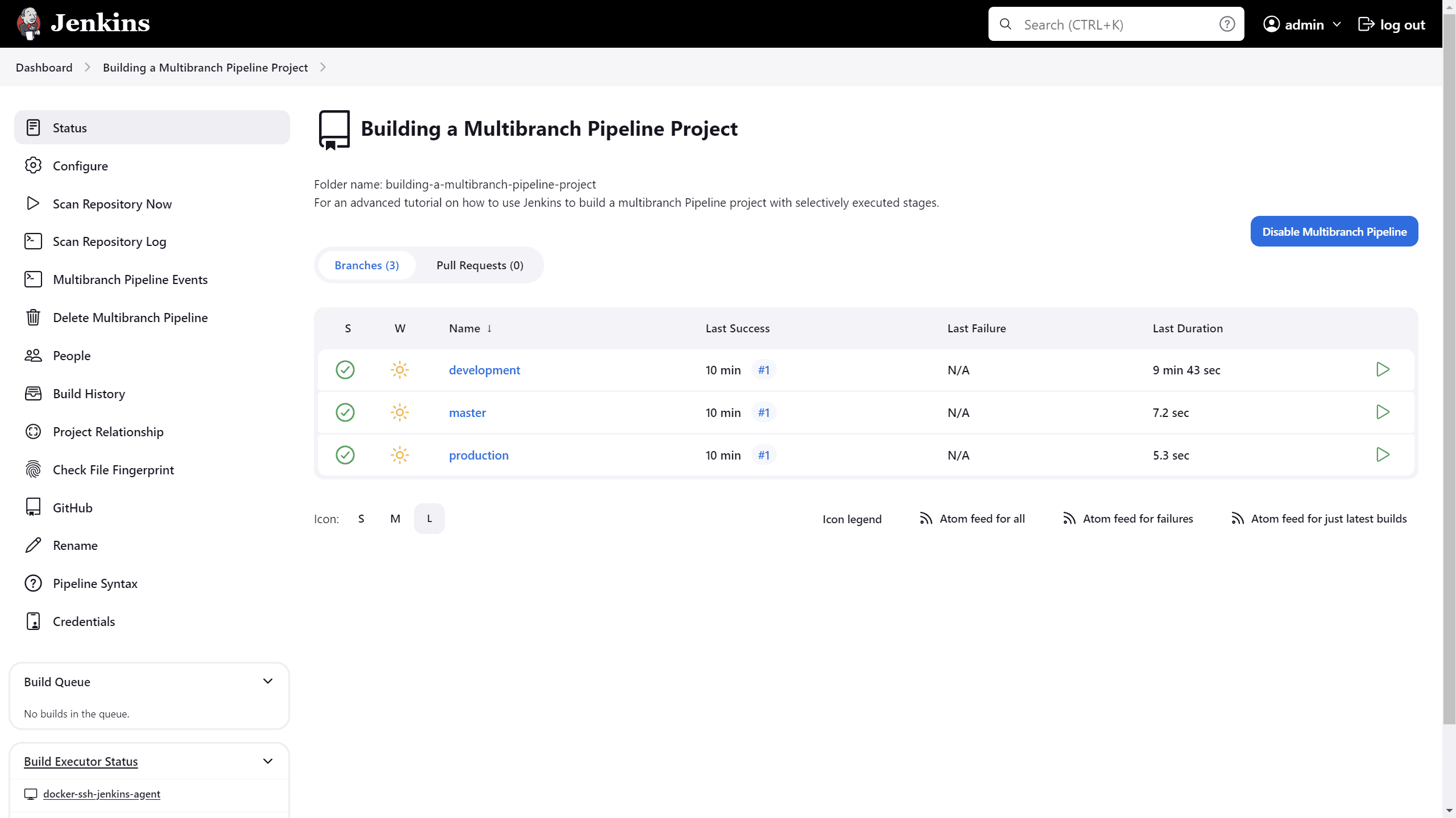 Multibranch pipeline main page